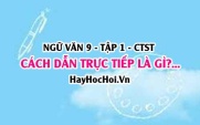 Cách dẫn trực tiếp và cách dẫn gián tiếp là gì? ví dụ? Ngữ văn lớp 9